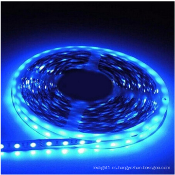 Tira de LED azul Ce y Rhos 30SMD5050